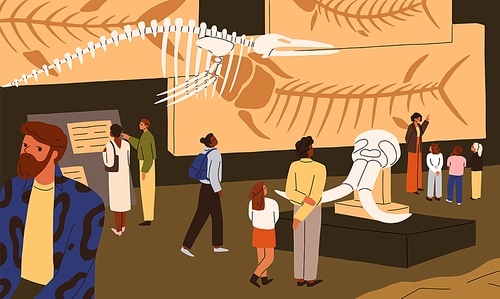 Fossils and bones exposition in archeology and paleontology museum. Visitors visiting, looking at displayed prehistory dinosaur skeletons, archaeological exhibition. Flat vector illustration.