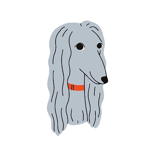 Afghan hound breed, cute dog avatar. Funny puppy face, head portrait. Adorable doggy with long coat. Home companion pup muzzle. Flat graphic vector illustration isolated on white background.