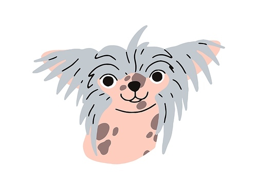 Cute funny puppy head of Chinese crested dog breed. Little amusing pup portrait. Small hairless doggy face. Canine animal, comic muzzle avatar. Flat vector illustration isolated on white background.