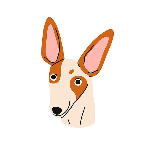 Dog head of Ibizan hound breed. Cute funny puppy, face portrait. Adorable bicolor spotted doggy, pup muzzle. Purebred canine animal snout. Flat vector illustration isolated on white background.
