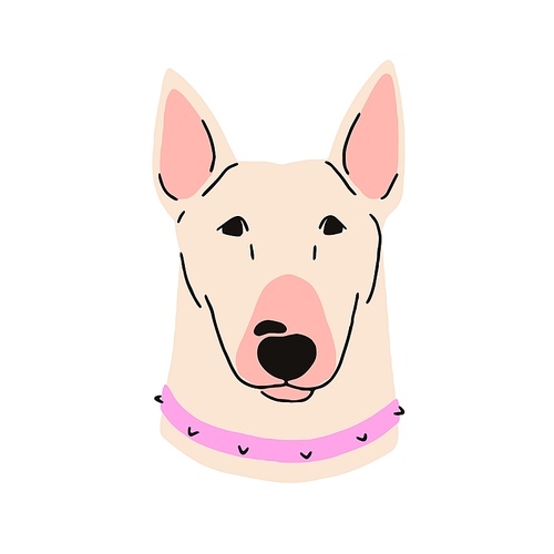 Bull terrier, canine animal avatar. Cute dog of Bully breed, head portrait. Bullterrier doggy. Purebred companion puppy, pet muzzle in collar. Flat vector illustration isolated on white background.