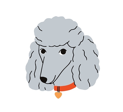 Cute dog avatar of Poodle breed. Adorable happy Pudel in collar, canine head portrait. Funny curly pup face, wavy companion puppy muzzle. Flat vector illustration isolated on white background.