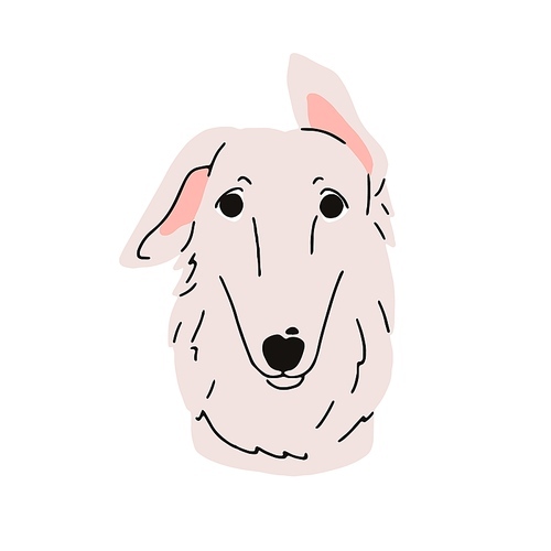 Borzoi, cute dog avatar. Russian hunting sighthound, canine head portrait. Funny purebred puppy muzzle. Doggy, pup face with long snout. Flat vector illustration isolated on white background.