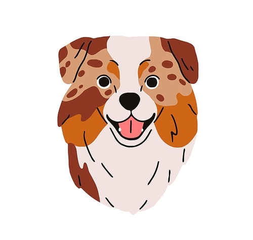 Aussie breed, Australian shepherd dog avatar. Cute puppy head, canine animal portrait. Herding doggy, adorable happy pup, funny muzzle. Flat graphic vector illustration isolated on white background.