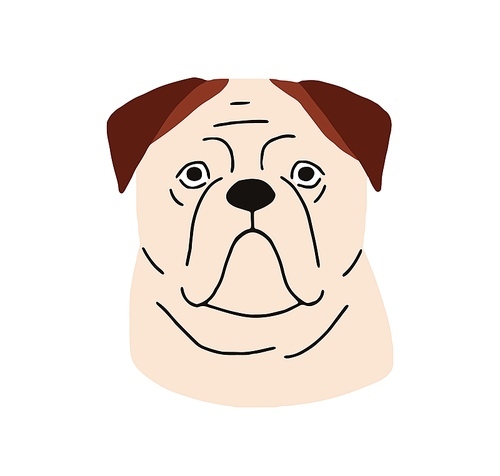 American bulldog head, dog avatar. Animal face, canine portrait. Purebred doggy, cute strong puppy muzzle. Serious funny pup snout. Flat vector illustration isolated on white background.