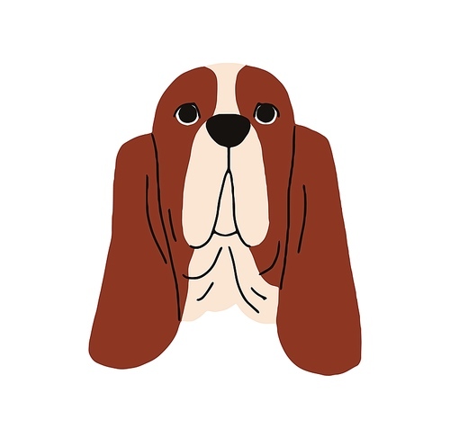 Basset breed dog, cute doggy head avatar. Adorable lovely sweet puppy muzzle, canine animal face portrait. Bicolor lop-eared pup. Flat vector illustration isolated on white background.