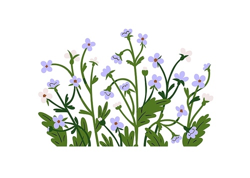 Forget-me-nots, spring flowers group, cluster decoration. Decorative wildflowers, blossomed blooms and leaves. Floral botanical decor. Flat graphic vector illustration isolated on white background.