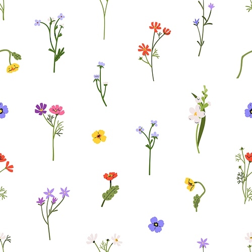 Spring flowers, seamless pattern. Botanical floral background. Summer blooms, meadow plants, wildflowers, repeating print. Colored flat graphic vector illustration for wallpaper, fabric, textile.