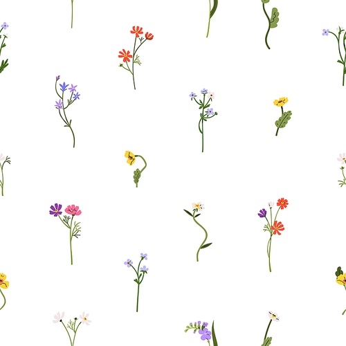 Spring flowers pattern. Seamless botanical floral background. Field plants, delicate wildflowers. Nature repeating print. Colored printable flat graphic vector illustration for wallpaper, fabric.