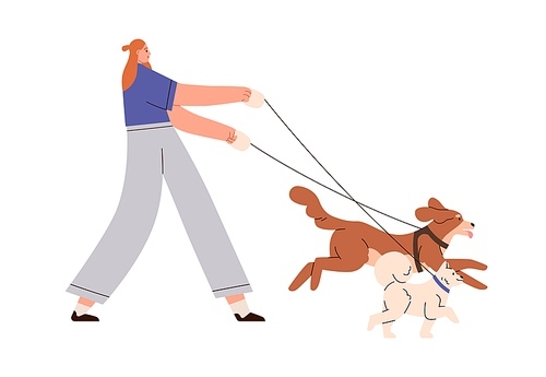 Person walking with dogs. Young woman walker leading doggies on leash. Girl, pet sitter strolling with canine animals, puppies. Flat graphic vector illustration isolated on white background.
