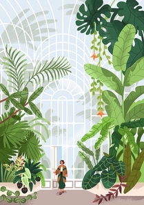 Botanical garden, conservatory with leaf plants. Woman entering into greenhouse park with greenery. Person in glasshouse with glass transparent wall, orangery nature. Flat vector illustration.