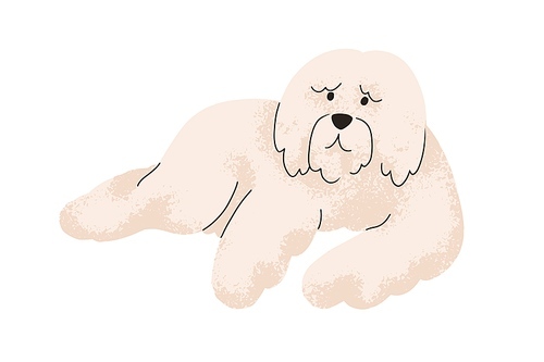 Cute shaggy dog of South Russian shepherd breed. Fuzzy fluffy doggy, canine animal. Guardian sheepdog with soft furry hair. Puppy lying, relaxing. Flat vector illustration isolated on white background.