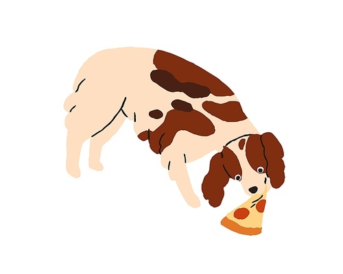 Cute dog eating pizza. Funny puppy, amusing hungry doggy feeding with slice of fast food. Adorable lovely happy pup during tasty meal. Flat vector illustration isolated on white background.