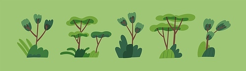 Green trees. Abstract forest plants with trunks and leaf branches. Botanical nature set. Summer and spring bushes, shrubs, leaves in modern style. Stylized botany. Flat vector illustrations.