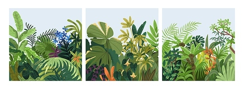 Green botanical cards set. Spring greenery, tropical nature, leaves, summer flowers, lush plants, eco square postcards. Floral backgrounds, thickets, garden, vegetation. Flat vector illustrations.