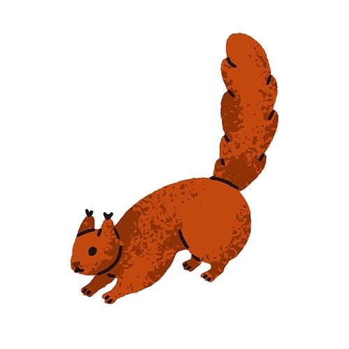 Cute fluffy squirrel with furry bushy tail standing on four paws. Adorable playful small rodent, charming forest fauna. Flat graphic vector illustration isolated on white background.