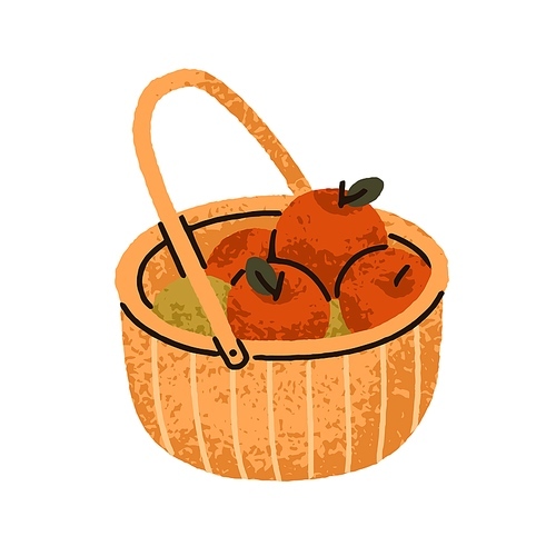 Basket filled with apples, autumn harvest. Fresh ripe natural garden fruits collected. Healthy vitamin seasonal organic food in wicker. Flat graphic vector illustration isolated on white background.