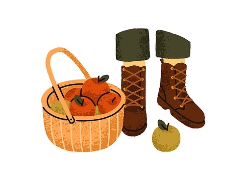 Collected fresh apples in basket, picked garden fruits in wicker. Orchard harvest collection, legs in boots in autumn countryside. Flat graphic vector illustration isolated on white background.