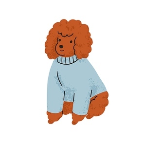 Cute funny little dog of poodle breed. Small canine animal, miniature puppy wearing clothes. Adorable purebred doggy, pudel pup with curly hair. Flat vector illustration isolated on white background.