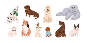 Cute dogs, puppies of different breeds set. Canine animals, diverse big and little doggies. Poodle, dachshund, dalmatian and jack russell terrier. Flat vector illustration isolated on white background.