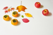 가을&과일