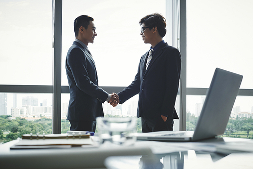 Profile view of confident business partners shaking hands while standing at panoramic window of spacious boardroom