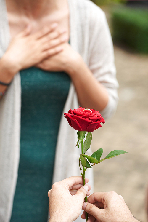 Closeup of man proposing to girlfriend, standing on one knee and  holding red rose with ring between petals