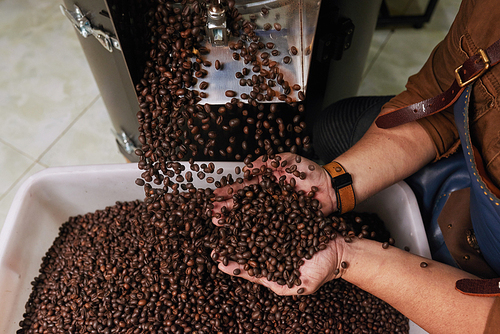 Male hands holding freshly roasted coffee beans