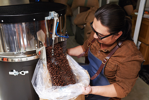 Man putting freshly roasted coffee beans into sack
