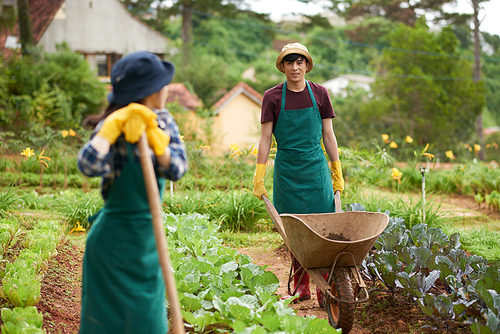 Unrecognizable young woman wearing bucket hat and apron leaning on hoe and looking at her male colleague driving empty wheelbarrow, spacious vegetable garden on background