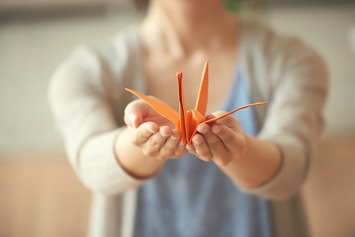 Orange origami crane in hands of woman
