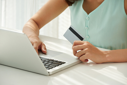 Close-up image of woman with laptop shopping online