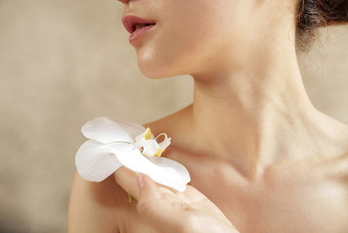 Young woman holding beautiful white flower next to tender skin of her neck