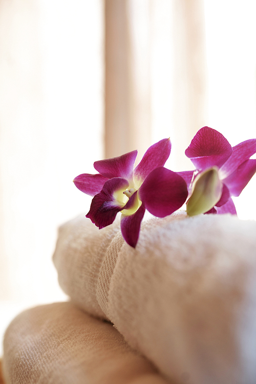Beautiful purple orchid flowers on stack of white fluffy bathroom towels