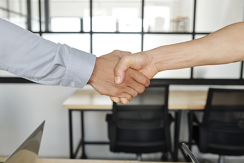 Firm handshake of designer and project manager after successful daily meeting