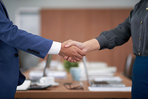 Close-up of business partners standing and greeting each other before business meeting at office