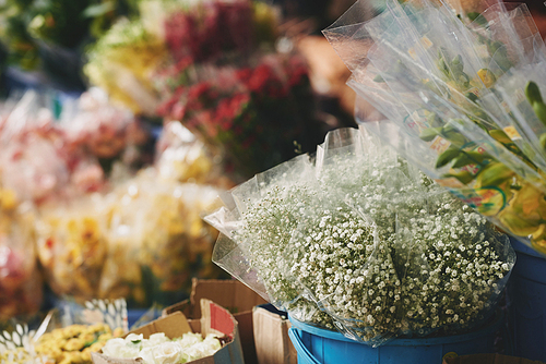 Various flowers in buckets at local market, selective focus