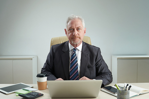 Bearded mature entrepreneur wearing classical suit  while sitting at desk and working on promising project, waist-up portrait