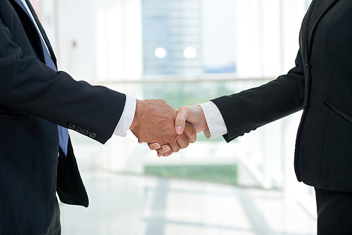 Close-up image of business partners shaking hands at meeting