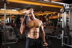 Fit young Vietnamese man with perfect body working out with dumbbells in gym