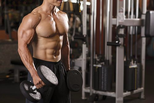 Muscular bodybuilder doing exercises with dumbbells with gym