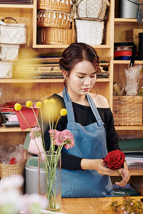 Concentrated young Vietnamese female florist cutting excess leaves from rose flower