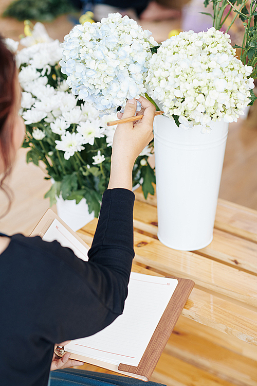 Female florist choosing tone of beautiful hydrangea for wedding decoration and taking notes in planner
