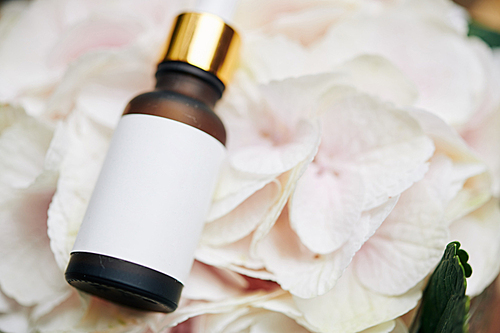 Small glass bottle of essential oil on light pink flower petals, selective focus