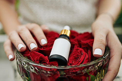 Hands of woman holding crystal bowl with flower buds and bottle of rose oil on it