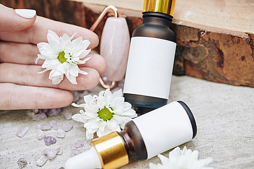 Hand of woman taking small bottles with daisy serum with blank stickers