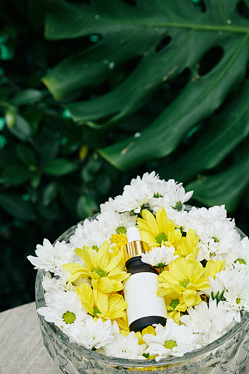 Crystal box with blooming flowers and mosturizing serum with white sticker