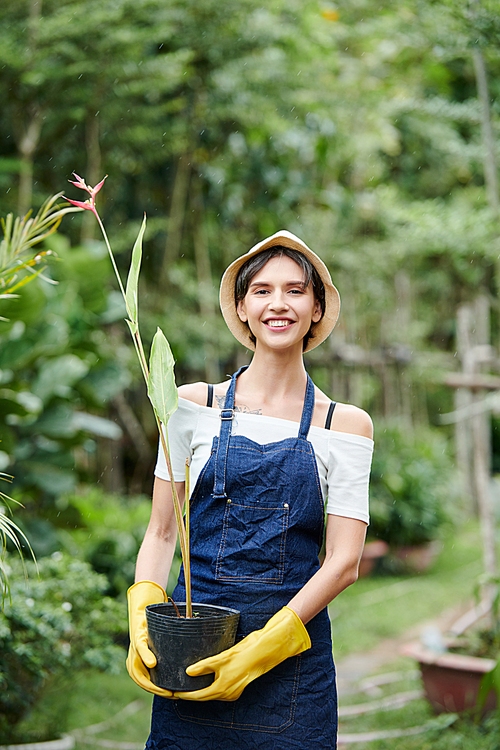 Smiling female garden worker in denim uniform carrying pot with blooming flower