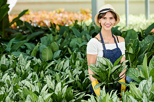 Smiling pretty female gardener in hat and denim apron standing among flowers she planted in greenhouse