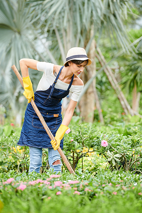 Serious young woman cleaning grass with rake when working in public flower garden